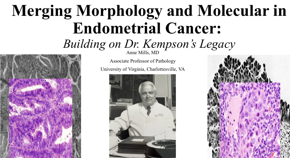 Anne Mills tweet media