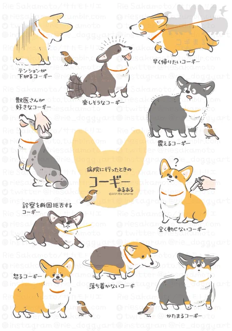 11月に描いたコーギーあるあるこっちだった!
ずっと前に描いたの晒してたー💦
#今月描いた絵を晒そう 