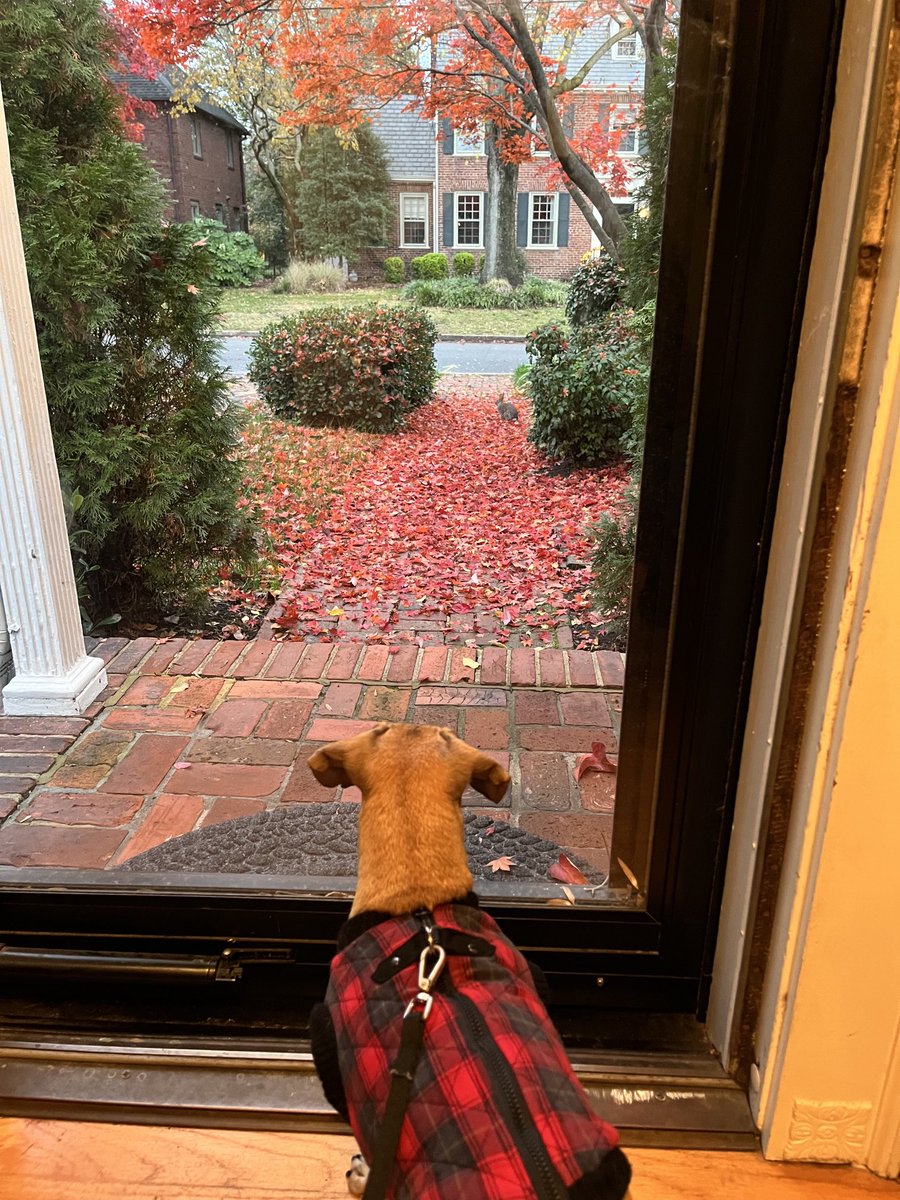 Raul Gonzalez tweet media