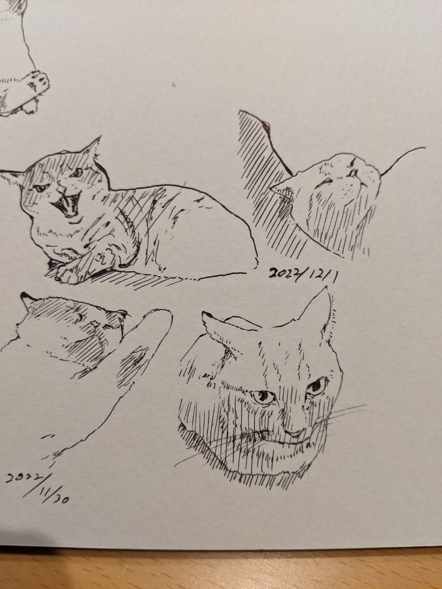 12月入っ…ちゃっ…たぁ… カキカキ。 