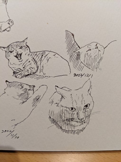 12月入っ…ちゃっ…たぁ… カキカキ。 