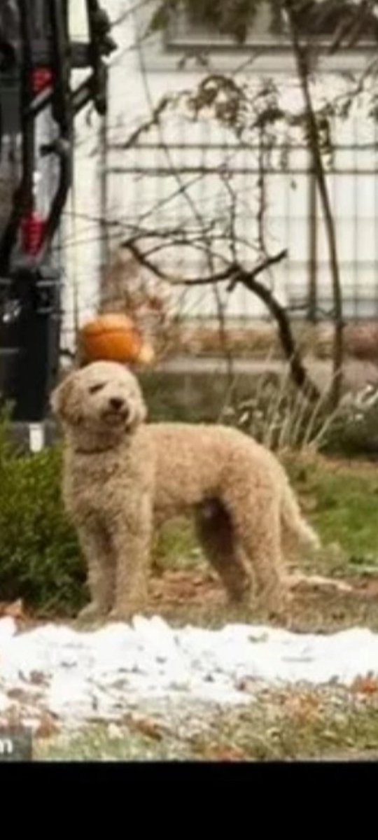 Ashley from 4th grade tweet media