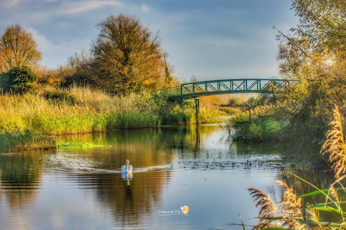 The beautiful Fens on the last day of November. The Cuckoo Bridge in Ely Country Park. 🧡 @StormHour 

#ThankYouNovember #EndofAutumn #LASTDAYOFNOVEMBER #LastDayOfAutumn