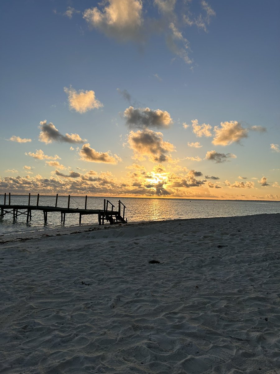 bswartzbiscaro's tweet photo. @YourMorning watching every morning from Cayo Guillermo Cuba https://t.co/5LrkErcA3j