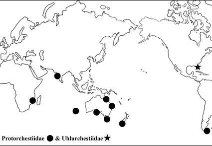 Zootaxa's tweet photo. The conquest of land by the Amphipoda (#Senticaudata, Talitroidea) explained by global tectonics and vicariance.
https://t.co/7QlBI5kWXQ
#Taxonomy https://t.co/zyENLFltPq