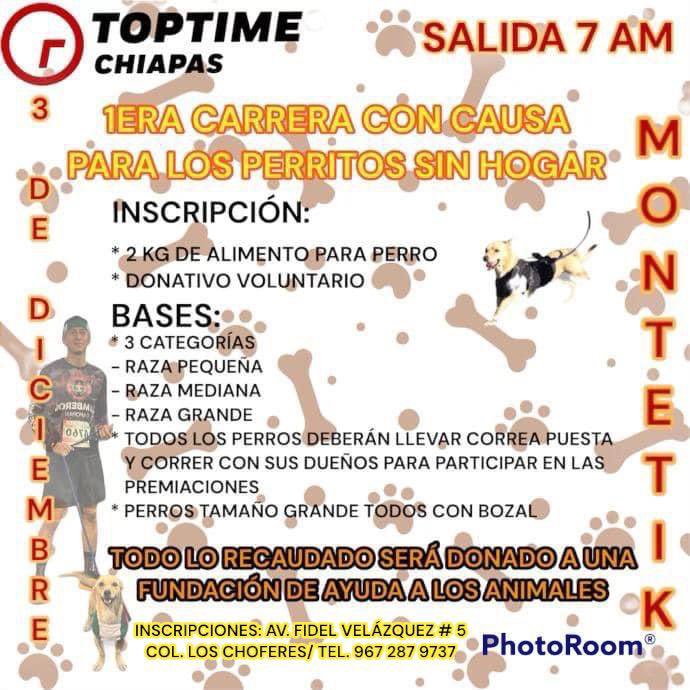 Saskia Hernández tweet media