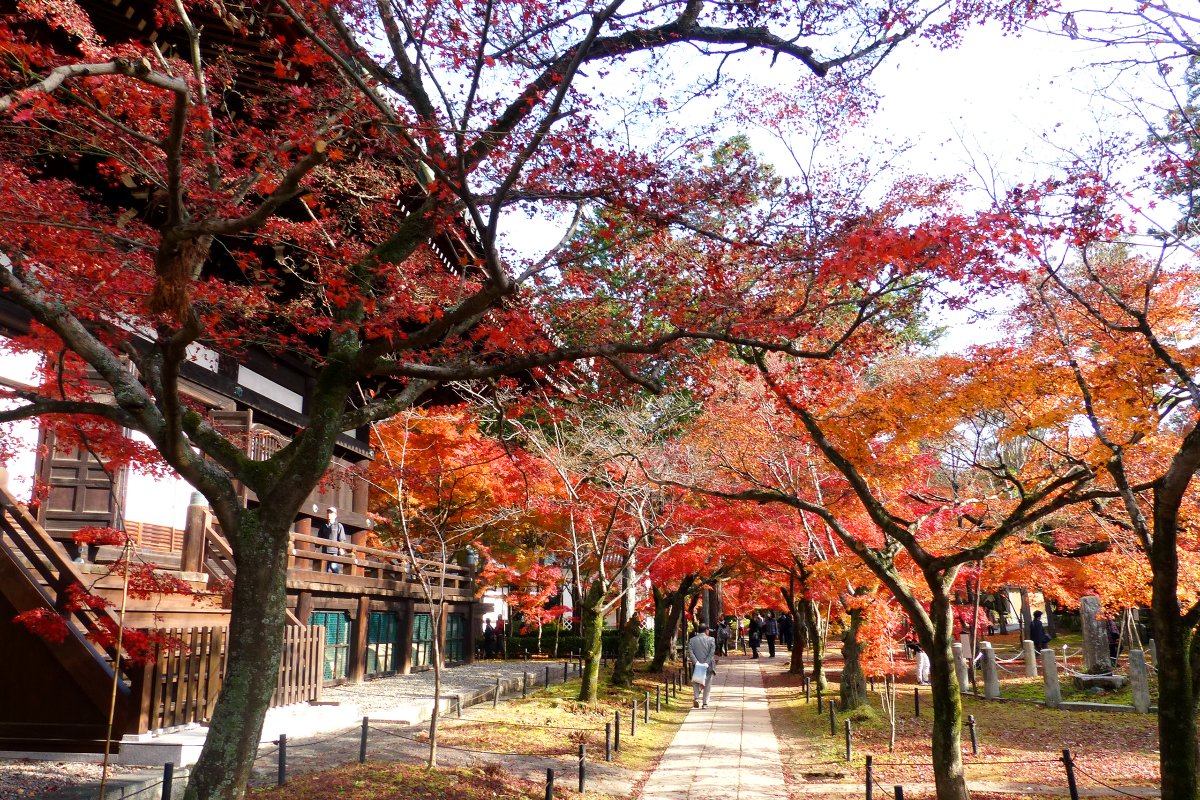 「令和妙心寺六景」展示紹介記事を書きました。京都(独断)紅葉案内もあります。
https://t.co/Ec4tfV0lC3

展示期間は12/4(日)までですが、紅葉も今週末が見頃なので是非。 