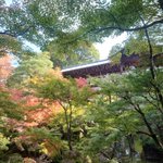 ツイートに含まれる画像