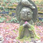 ツイートに含まれる画像