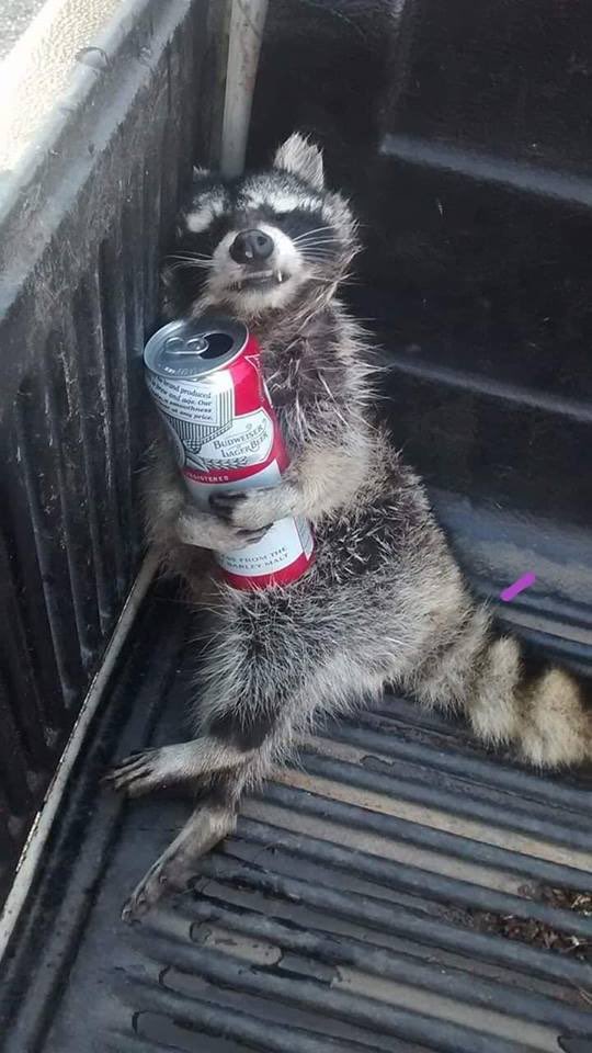 “He put that bottle to his head and pulled the trigger, and finally drank away her memory”