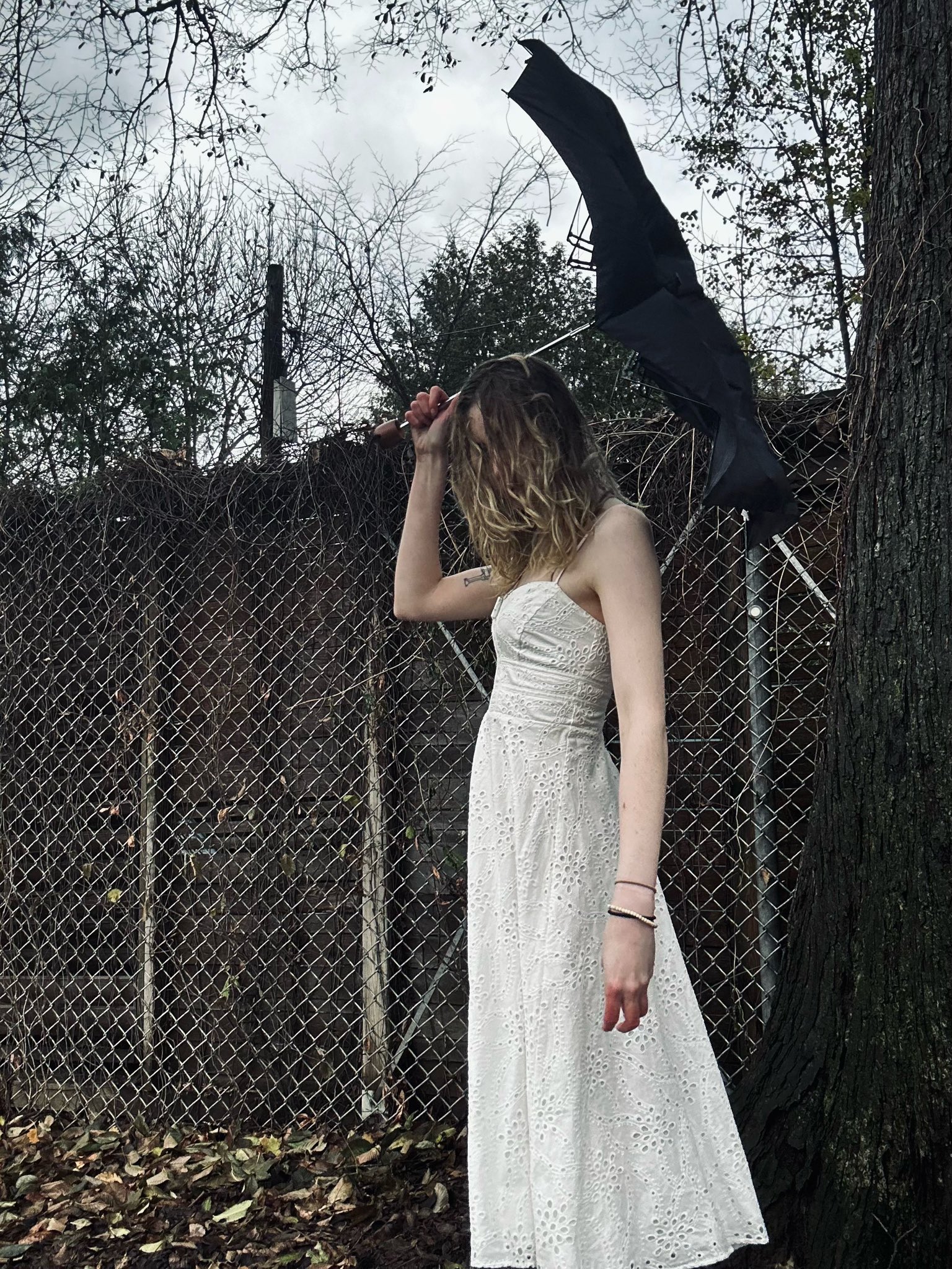 TW Pornstars - Aoife 🐝 Bee. Twitter. I have been waiting for you. 11:26