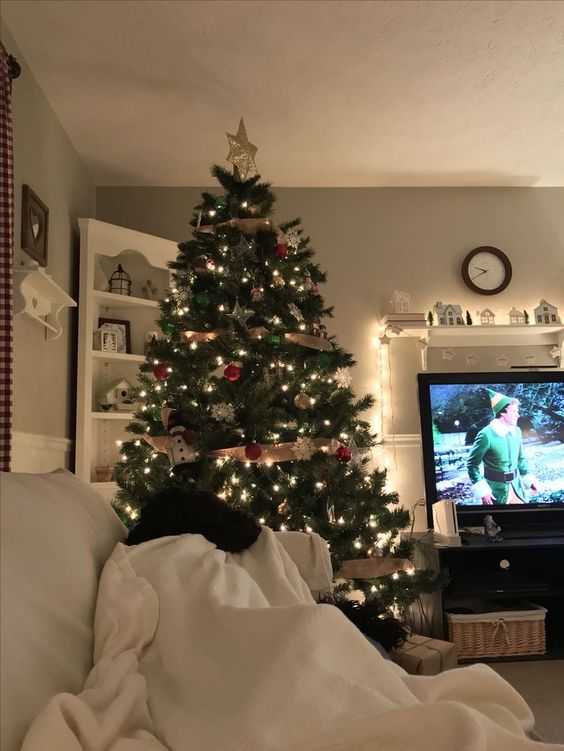 etherealdior's tweet photo. december: a month of love, lights, and magic https://t.co/KKWqMa3Zo5