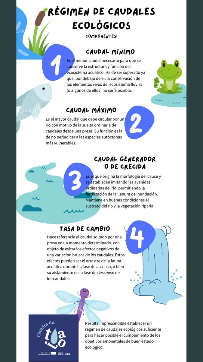 AmbienteToledo's tweet photo. 🏞️ Caudal mínimo y caudal máximo 🏞️ https://t.co/PJz3cG2RxX