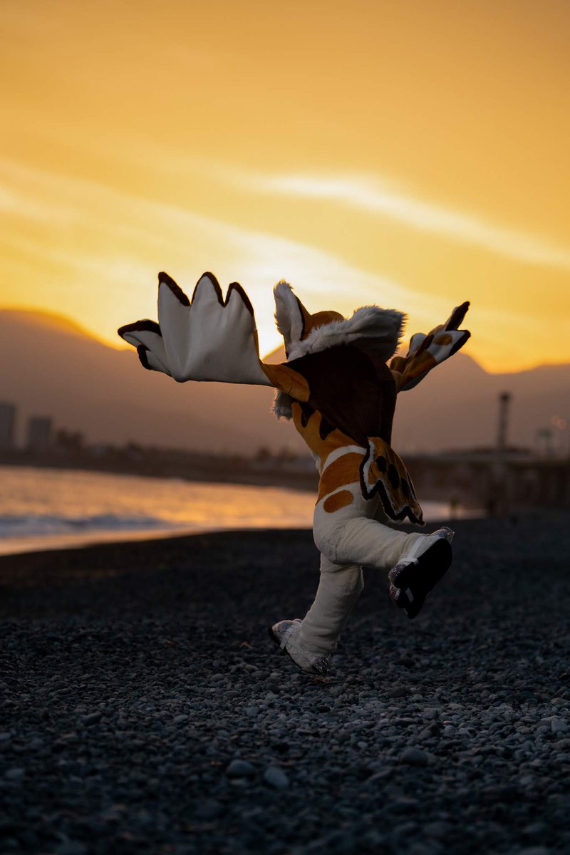 May (Chaba🦉) 🔜Thaitails tweet media