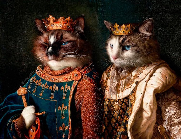 When you have $8 until Friday but your cats are taken care of no matter what.