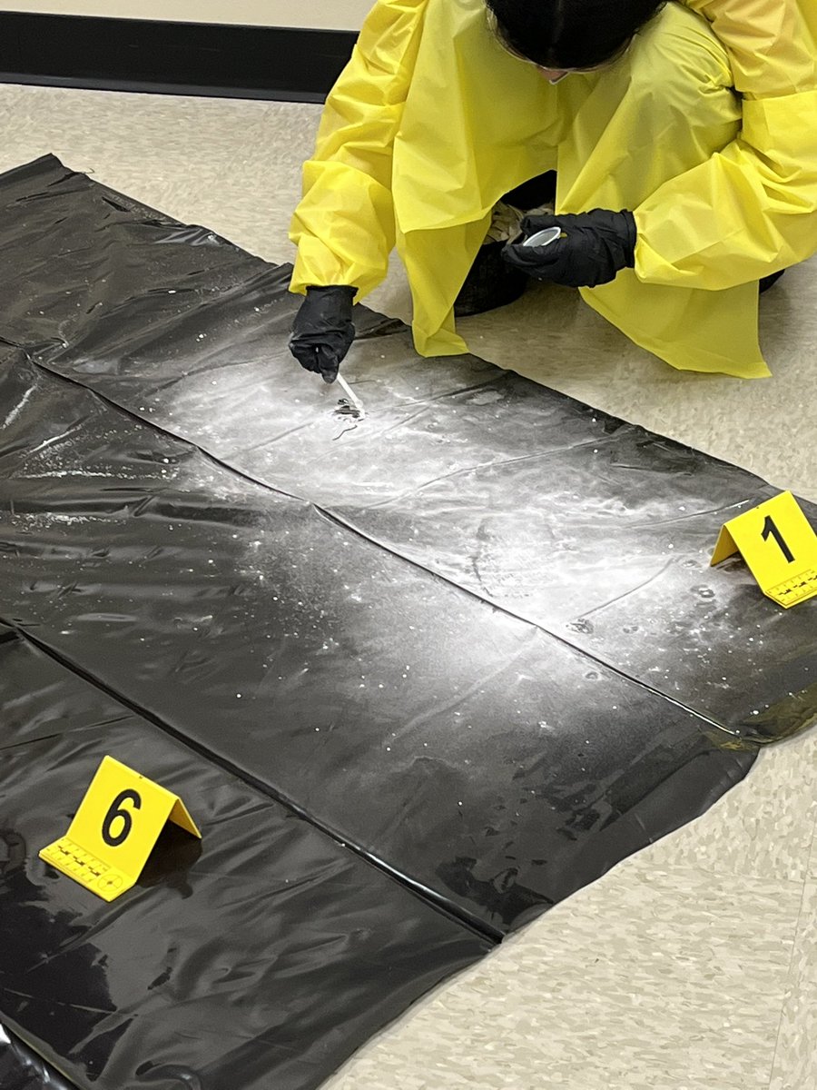 MKMSScience's tweet photo. This is what STARBASE 2.0 has been building to! Time for some crime scene analysis time and to figure out who dun it! @KendrickBroncos https://t.co/S7ePDN4bsw