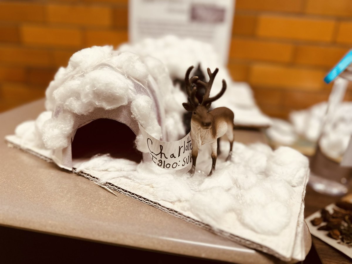 S_FarfanRoss's tweet image. Check out this cooldisplay of our class project on North Native Americans Types of Homes ⛺️ #WeeLearn #Weecreate #Weeworkhard