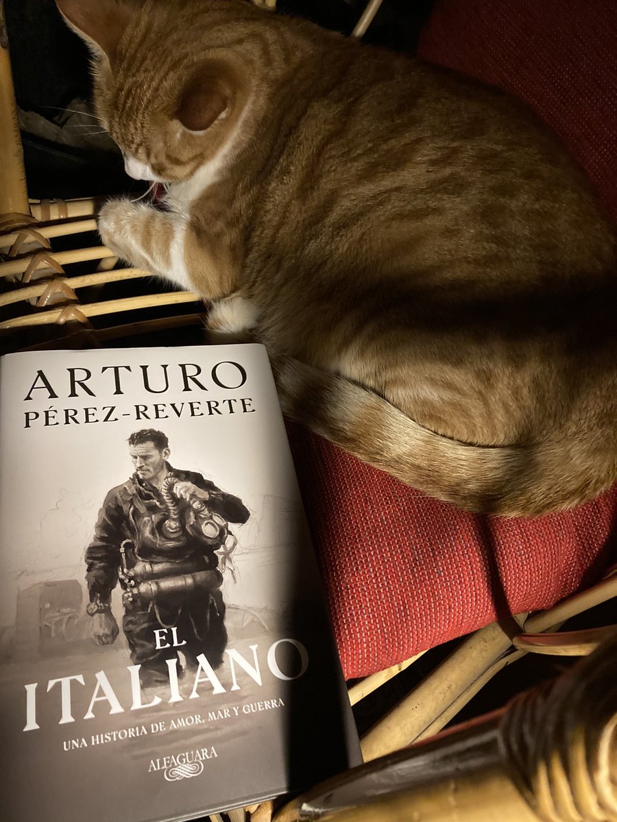 mmartin_pro's tweet photo. Hoy hemos acabado de leer  “El Italiano” y es el segundo libro de nuestra pequeña colección de @perezreverte . Decididamente no será el ultimo. Gracias y un saludo D. Arturo. https://t.co/8og4JdAywC
