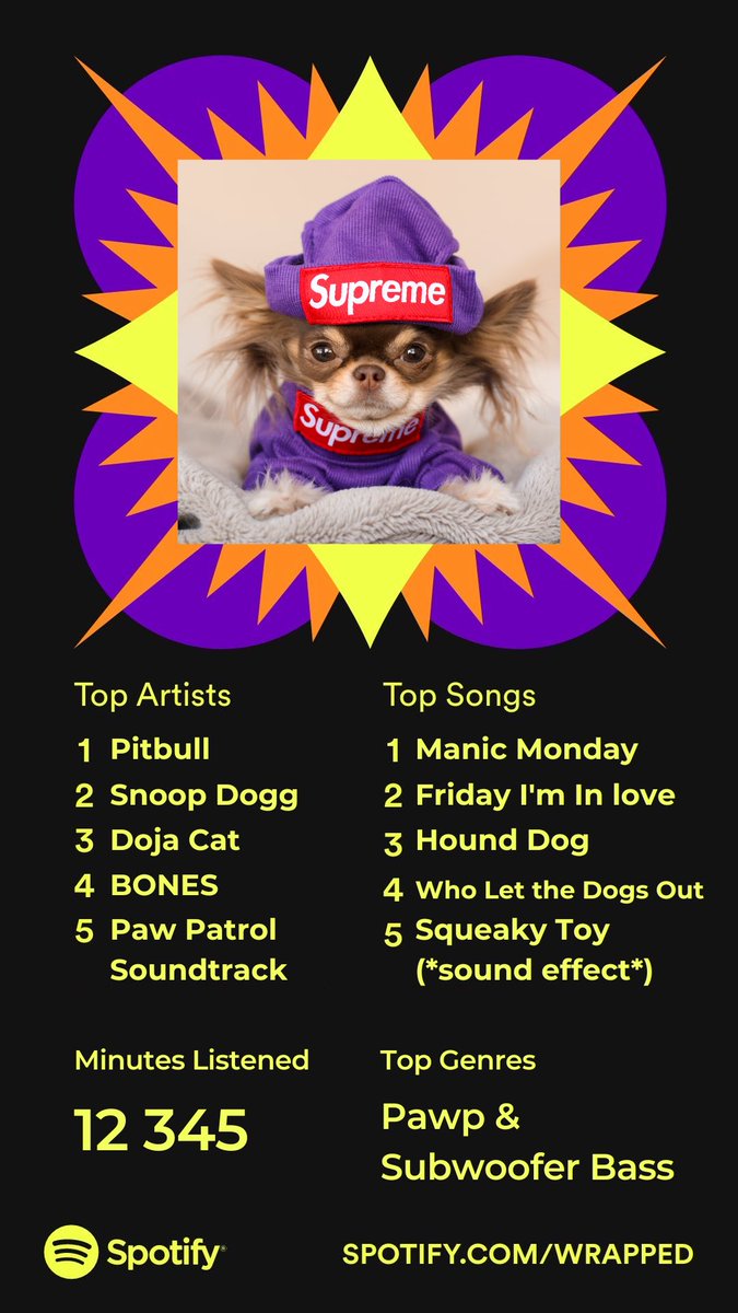 Lou’s 2022 Spotify Wrapped