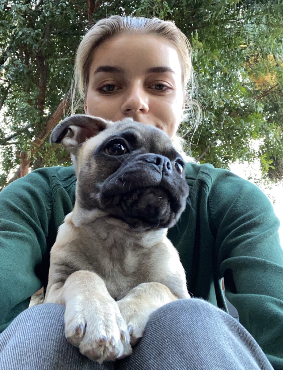 abweeb's tweet image. look at he