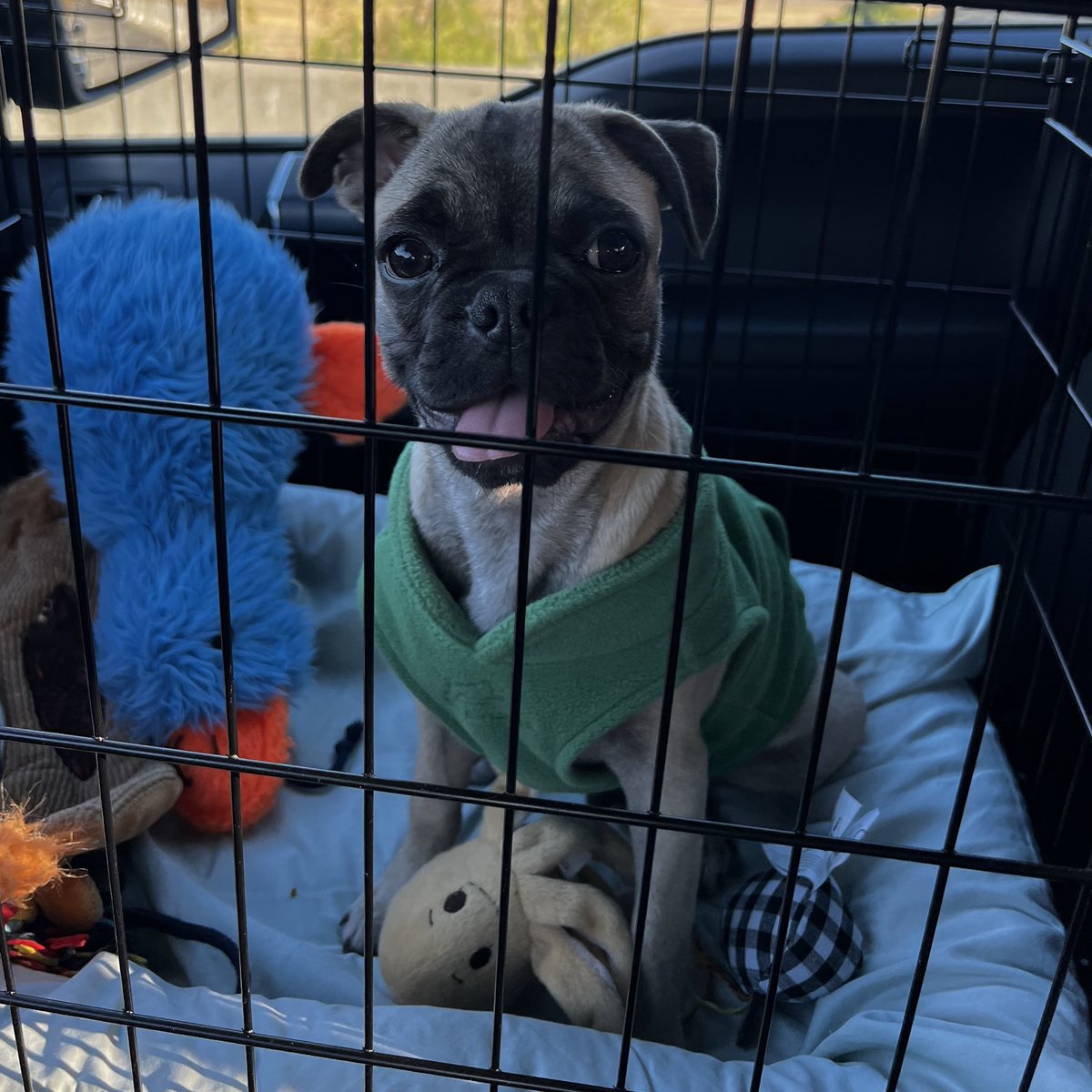 abweeb's tweet image. look at he