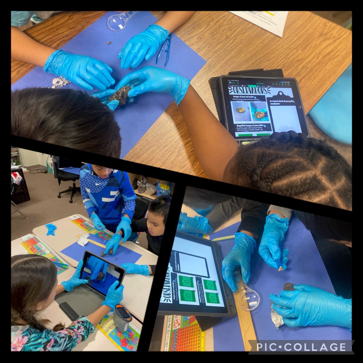 Melissa Zeiszler (Shepherd) tweet media