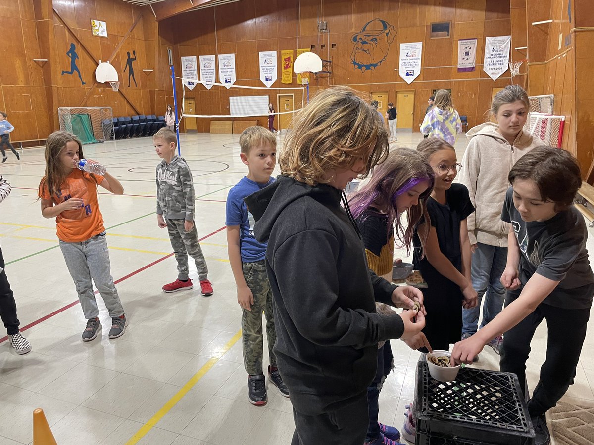 pap_STA's tweet photo. STA Walk to the North Pole! We are walking the 4621KM from STA to the North Pole! Distance is calculated using a token system that tracks laps around the gym and playground! We have made it over 1000km so far! @ActiveSchoolsNL @CSHBTNLESD https://t.co/jzoj5uo9Hj