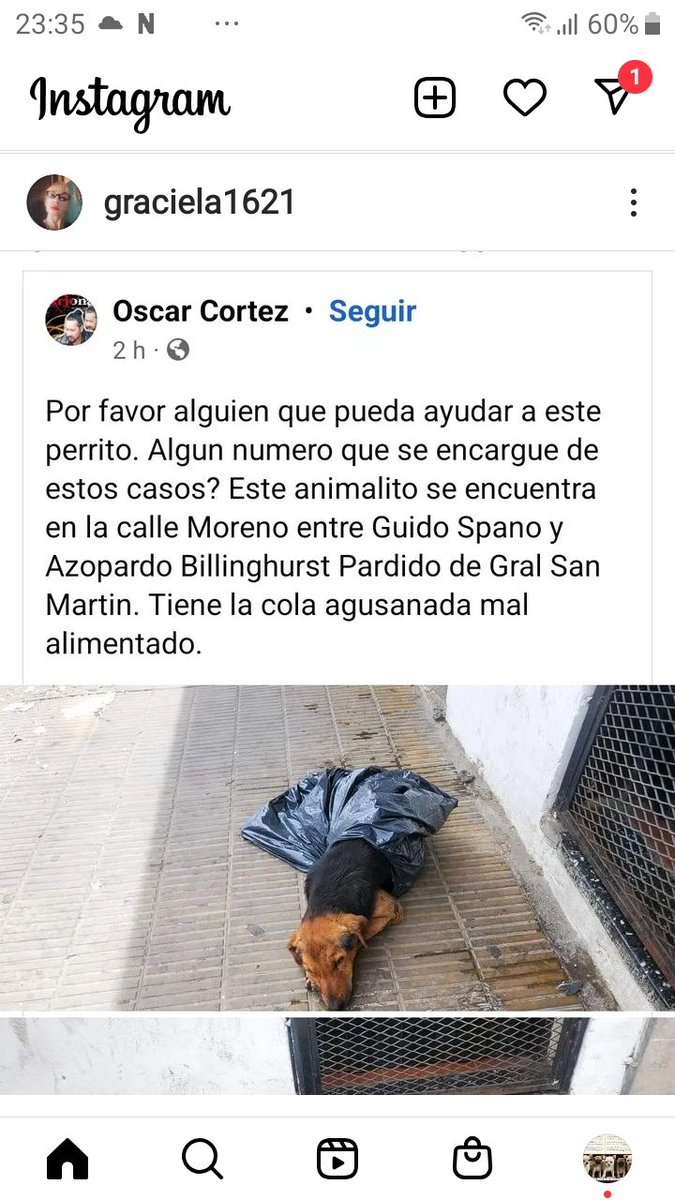 ComoNoAdorarlos's tweet photo. 🆘️🆘️🆘️ URGENTE‼ perrito abandonado con la cola agusanada en #sanmartin 😥😥😥
https://t.co/6penxWPIth https://t.co/I2diVCODcN