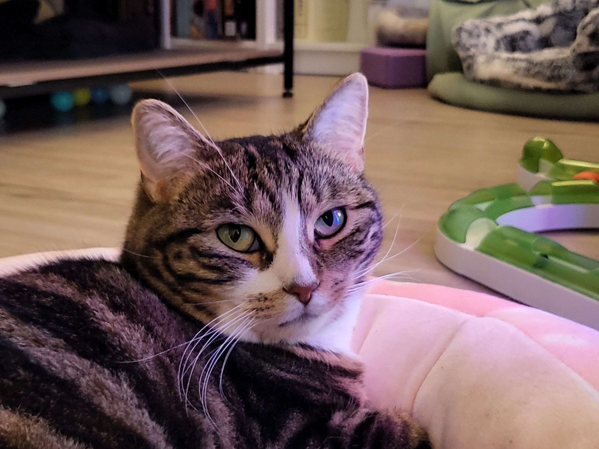 Maybe she's born with it. Maybe she's Sweater Sleeves.