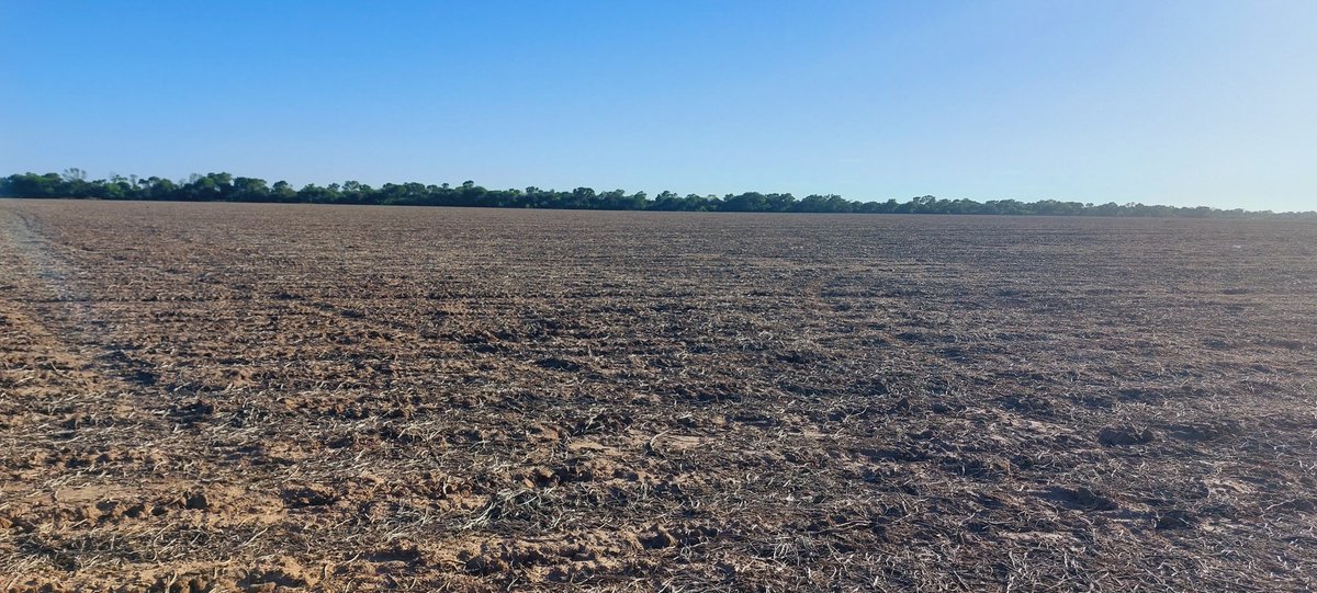 Se viene... MIB Pampa del Infierno, Chaco <a href="/BrevantSemillas/">Brevant Semillas</a> estamos siempre!!