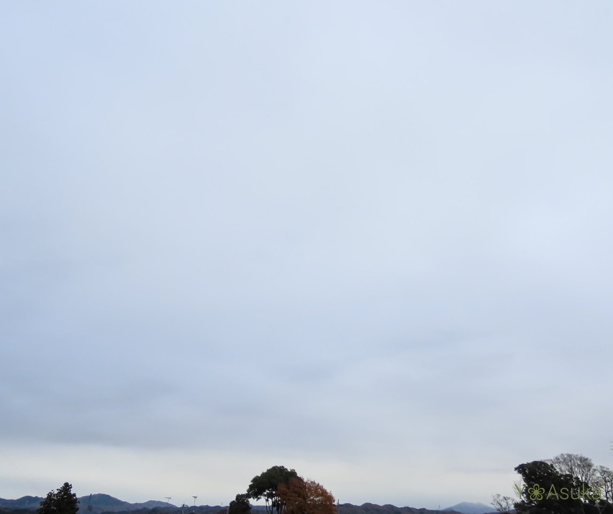 yumeasutw's tweet photo. 空一面どんよりグレーの肌寒い木曜日の朝☁️
初夏から楽しませてくれている #アリッサム は元気一杯🌼
予想最高/最低気温🌡️11℃/5℃
曇り☁️
厚手の物は乾きにくそう👖気温は横這いの肌寒い一日に。俄か雨に御用心。
#庭花 #花 #Flower
#空の名前
#天気の図鑑 #雲友の会 #曇天
#a2022 #a1201 #a202212 https://t.co/xhluYW7HVQ