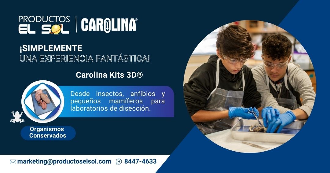 productos_elsol's tweet image. ¡𝐄𝐥𝐢𝐠𝐞 𝐥𝐨𝐬 𝐦𝐞𝐣𝐨𝐫𝐞𝐬 𝐞𝐬𝐩𝐞𝐜𝐢́𝐦𝐞𝐧𝐞𝐬 𝐩𝐫𝐞𝐬𝐞𝐫𝐯𝐚𝐝𝐨𝐬❗ 🐰🐭🐱🐷🐸
✅ Sin olor a formalina
✅ Sin emisión de gases peligrosa
✅ Sin apariencia oscura y poco natural.
#Pessa #Carolina