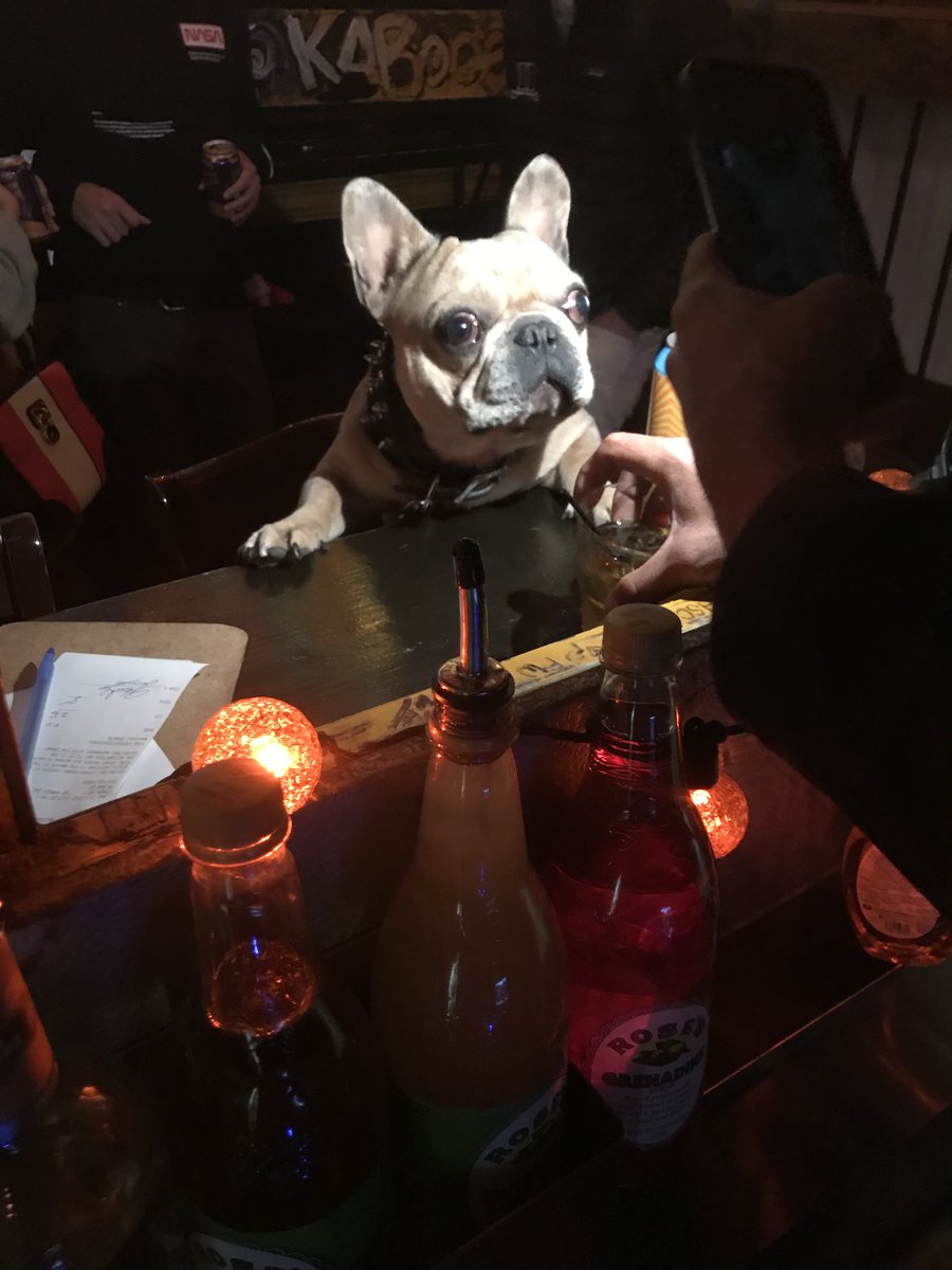 SchoolBusRocks's tweet photo. COMEDY NIGHT ~ Mike Brown &amp; Broken Mic Comedy to start @8pm. Come on out tonight for Comedy Night at TRUSTY's and hopefully "Marvelous the Frenchie" @BrokenMicComedy @TrustysDC @SchoolBusRocks https://t.co/rnwTr8otA0