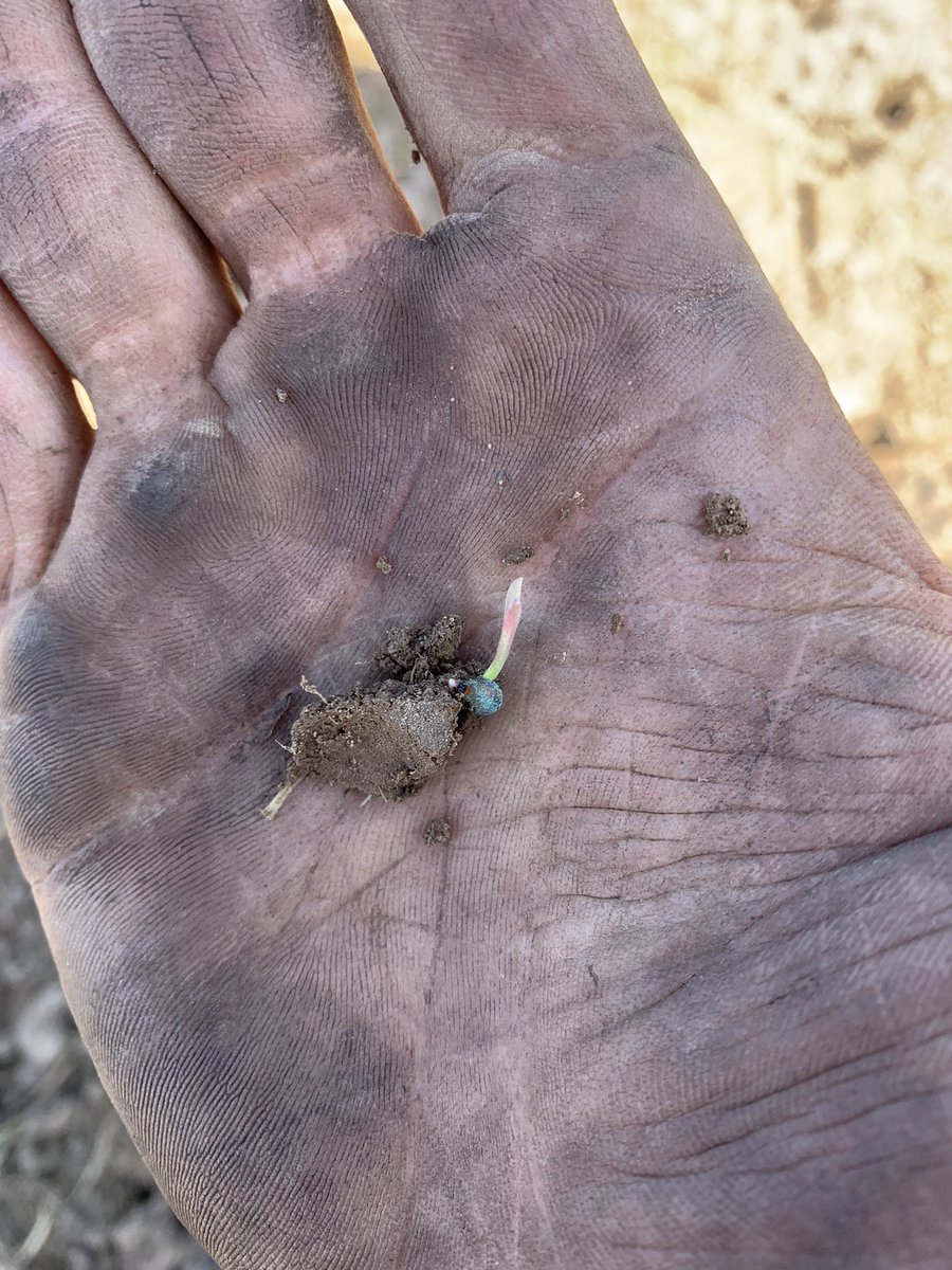 Andy Wettenhall tweet media