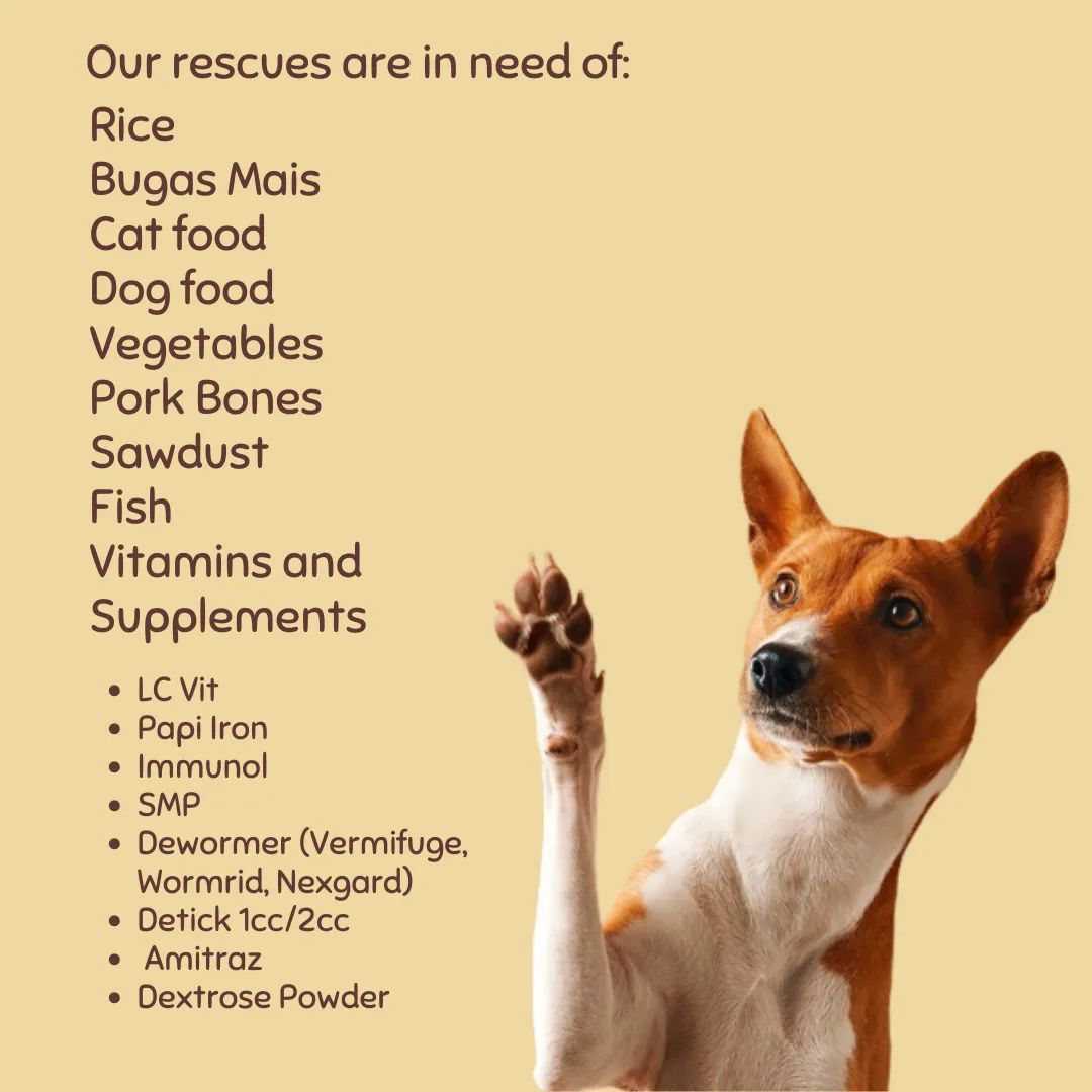 xxillereg's tweet photo. Our food is running low, our rice 25kilos only last for 3days. We dont have anymore funds to buy. We are in desperate need of rice, meat, vitamins, dog &amp; cat food donations. https://t.co/kj5R7HDh75