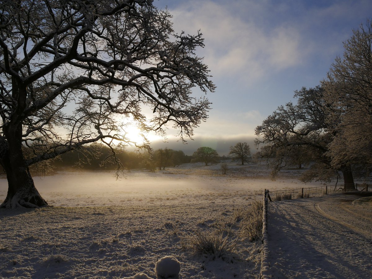 NationalTrustNI's tweet photo. December dawns and winter awaits.
A winter sunrise at Crom in County Fermanagh.
๐ธ National Trust Images
#EveryoneNeedsNature #PlacesMatter #NationalTrustNI #FirstofDecember https://t.co/qRpWKT17Ny