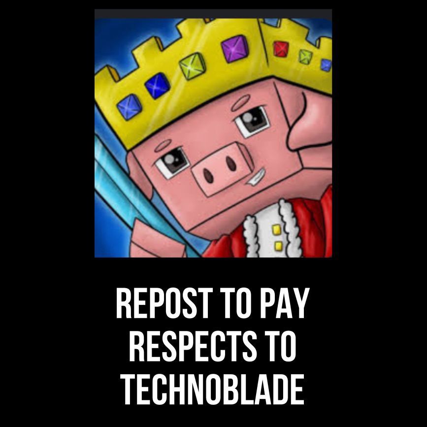 nyx_the_wolf_1's tweet photo. I stole this but rip technoblade you will be missed https://t.co/upwjCOeTYl