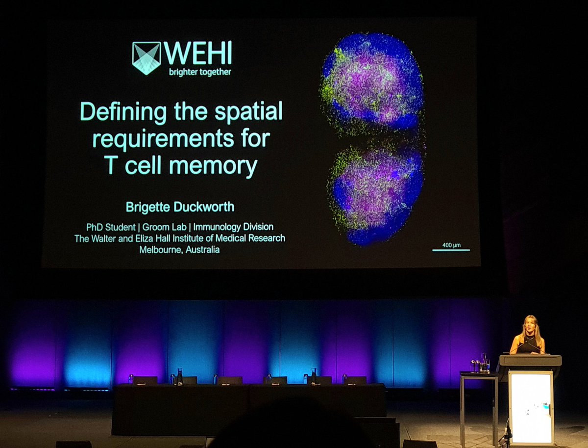 Maddie Wemyss (@maddiewemyss) on Twitter photo Stunning images and fantastic work by Brigette Duckworth <a href="/BrigDoesScience/">Brigette Duckworth</a> - investigating the maintenance of T cell memory within the lymph node π€© #ASI2022MEL <a href="/pfizer/">Pfizer Inc.</a> New Investigators session <a href="/ASImmunology/">Australian and New Zealand Society for Immunology</a> <a href="/groomlab/">Joanna Groom</a> <a href="/WEHI_research/">WEHI (Walter and Eliza Hall Institute)</a> Stunning images and fantastic work by Brigette Duckworth <a href="/BrigDoesScience/">Brigette Duckworth</a> - investigating the maintenance of T cell memory within the lymph node π€© #ASI2022MEL <a href="/pfizer/">Pfizer Inc.</a> New Investigators session <a href="/ASImmunology/">Australian and New Zealand Society for Immunology</a> <a href="/groomlab/">Joanna Groom</a> <a href="/WEHI_research/">WEHI (Walter and Eliza Hall Institute)</a>