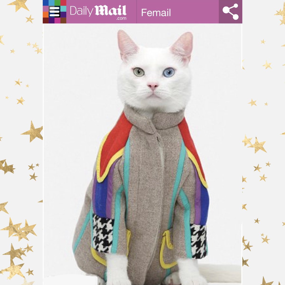 Princesnowflak2's tweet photo. It’s my calendar 🗓️ PURRanniversary month!! I have been the reigning Mr. November, since 2014, when I made it into a 🏙️NYC high 🧥#fashion calendar!! How special! PURREnjoy my photo from @DailyMail article I was featured in!#modeling #christmas2022 #Trending #TrendingNow #model https://t.co/KFFmMFb6SS