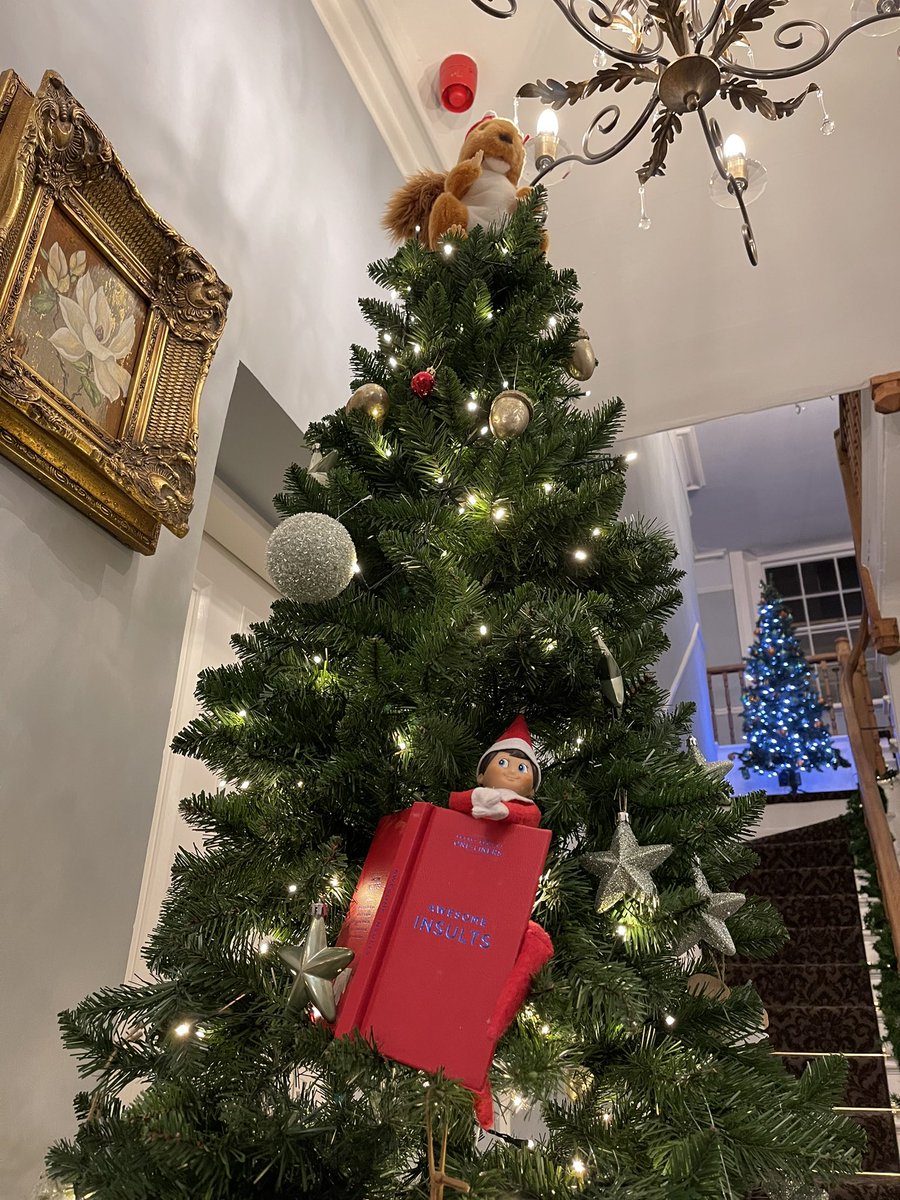 Look who is back!  #elfontheshelf #ElfOnAShelf #elfonashelf2022 #oakhillcromford #bestboutiquehotel #December2022 #christmas2022 #ChristmasTree #insults #naughtyelf #elfisback #followus #visitus #lovesquirrels #derbyshire #peakdistrict #peakdistrictchristmas #familyownedhotel