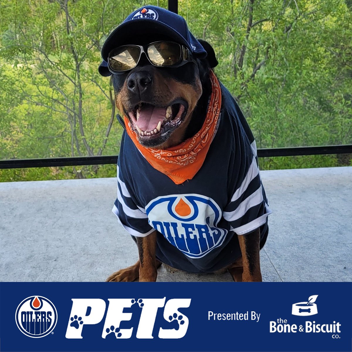 Edmonton Oilers Dog Clothes & Accessories– Togpetwear