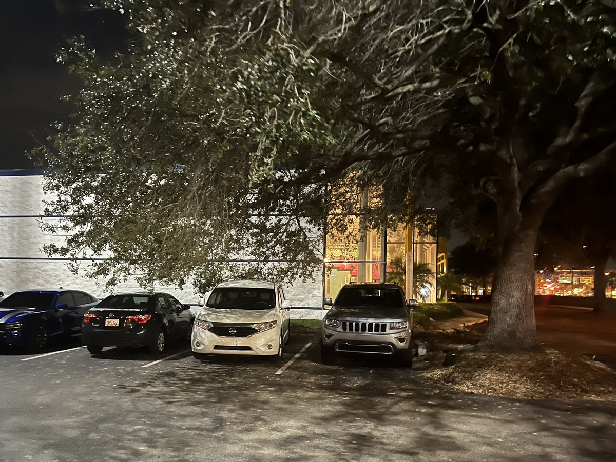 Hey <a href="/MillersAleHouse/">Miller's Ale House</a> , the location at 1667 Florida Mall Ave Orlando could really use a tree trim. The limbs are scraping the cars when parking.