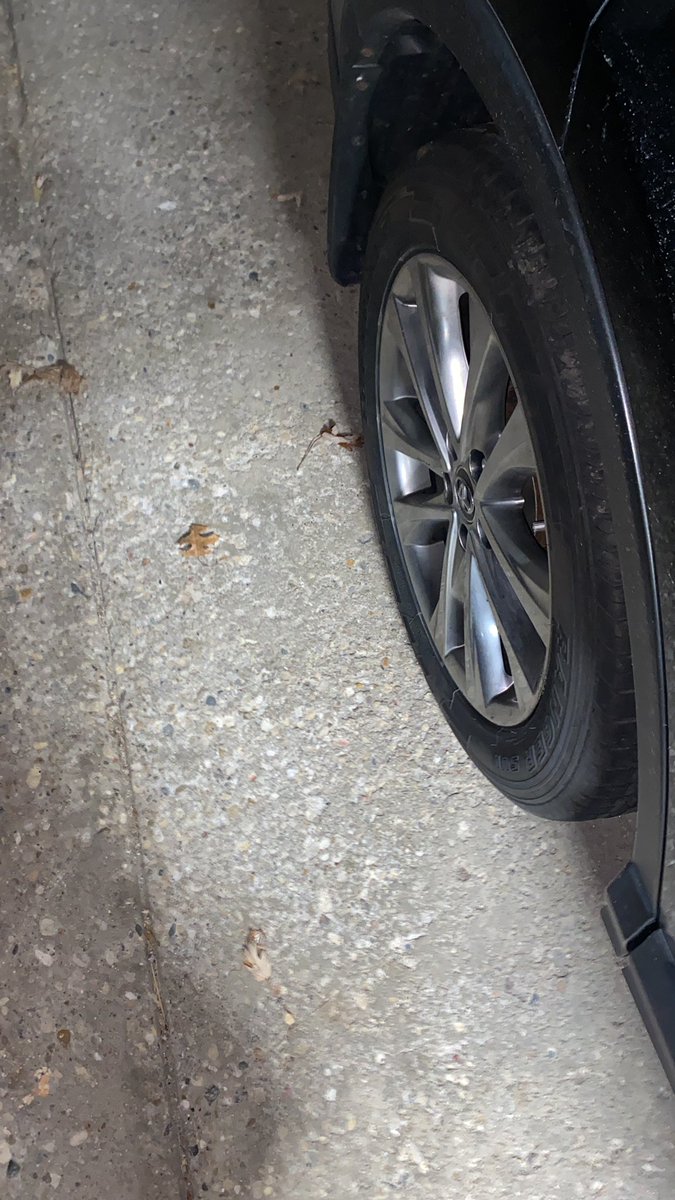 SanadAPES's tweet photo. Impervious surfaces can cause harmful substances such as motor oil, coolant, and toxic metals to runoff into our water. #apeswater @franklinlorax https://t.co/63oicSIJ8y