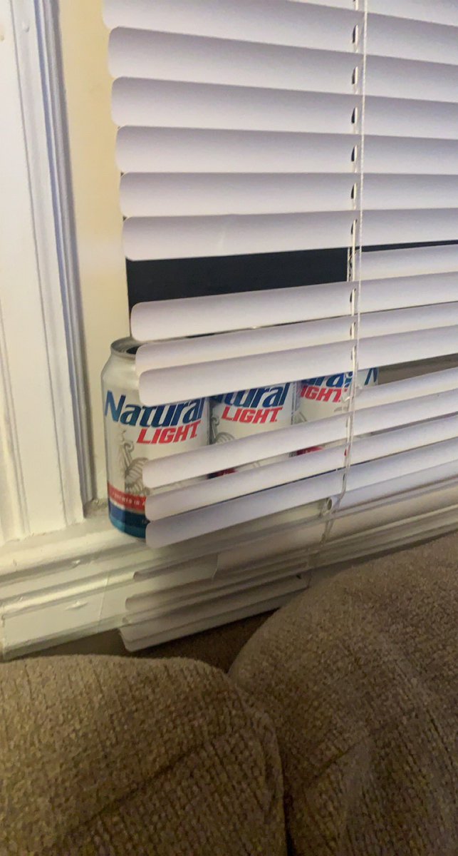 Real estate agent: the Windows in this home give off a lot of natural light