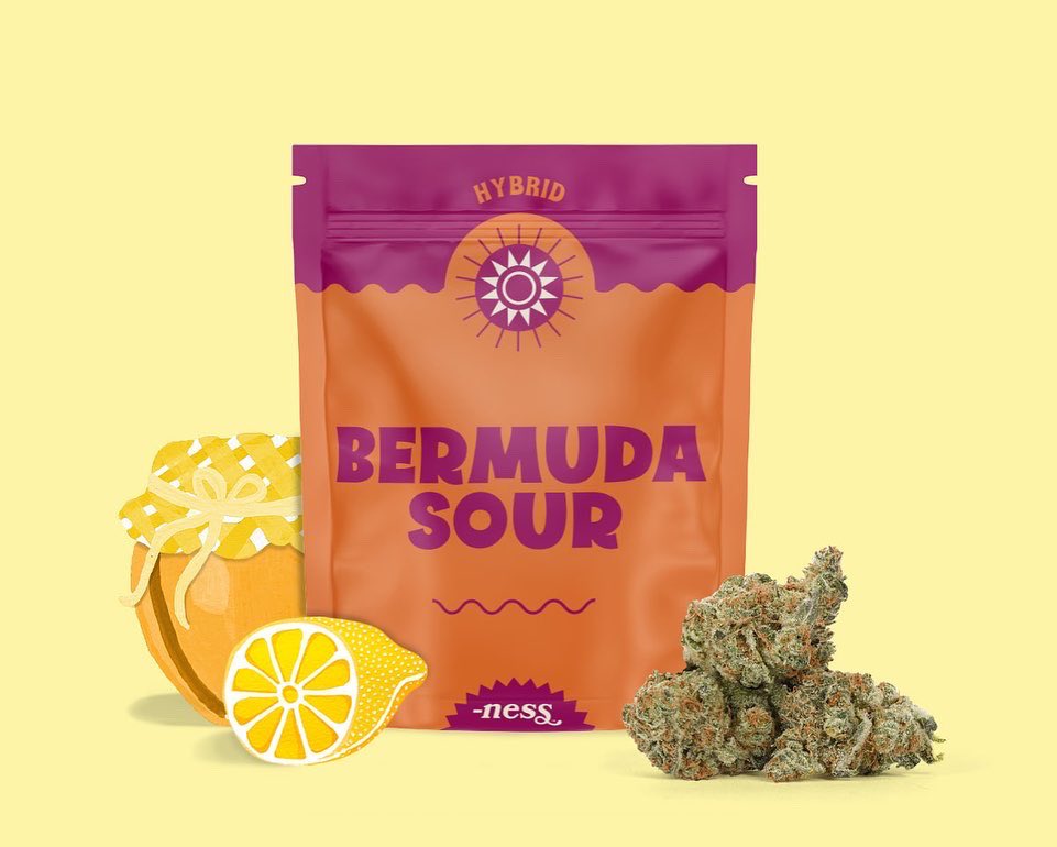 Summit Cannabis Co tweet media