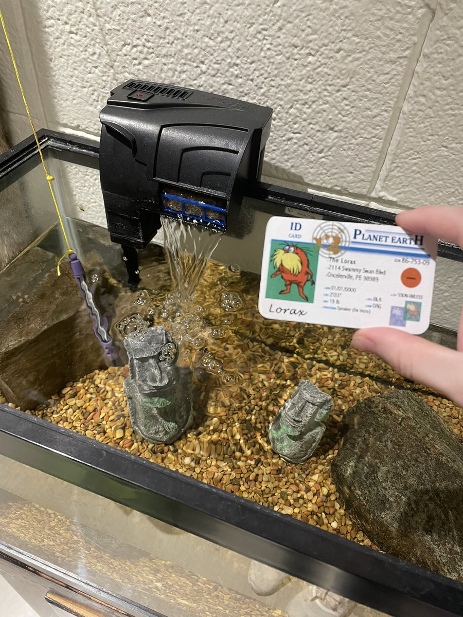 JaydenZiegler10's tweet photo. By keeping a bio filter on "my" fish tank, I help improve my fish's habitat by maintaining the water quality. The waste and build up in the tank is broken down by bacteria into dissolved oxygen for the fish to breathe and have a clean environment. @franklinlorax #apeswater https://t.co/x9JudIzUcq