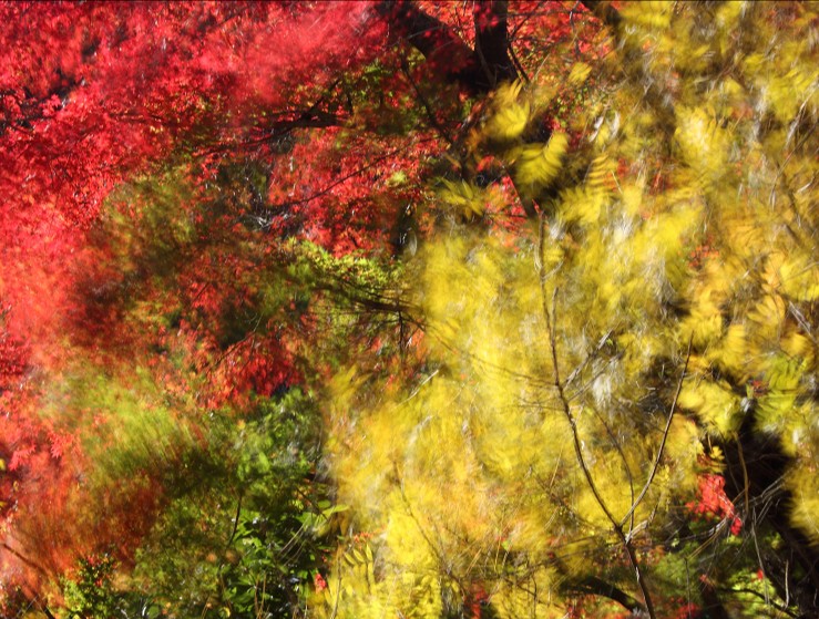 足利市の山川長林寺にて。
これもスローシャッターで、抽象画風に(⁠^⁠^⁠)
2022.11.27撮影。

#足利市 #山川長林寺 #長林寺 #紅葉 #スローシャッター #ashikaga_city #chourinji_temple #autumn_leaves #longexposure #japan