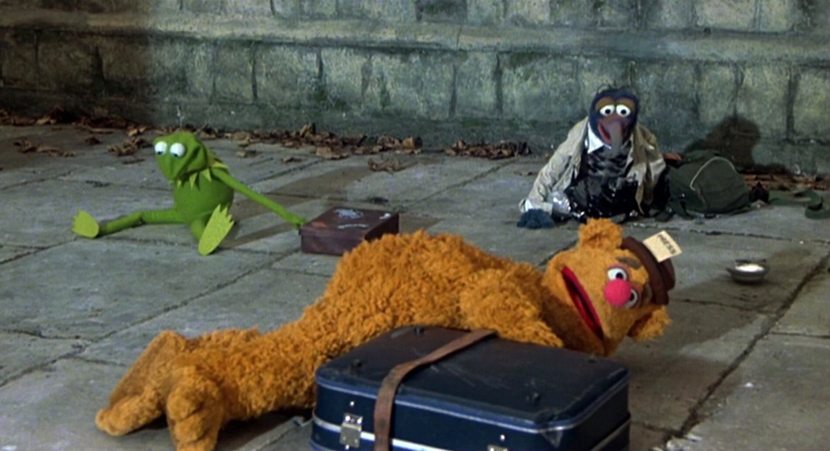 MuppetPictures's tweet photo. https://t.co/5rGMQ3GvBi