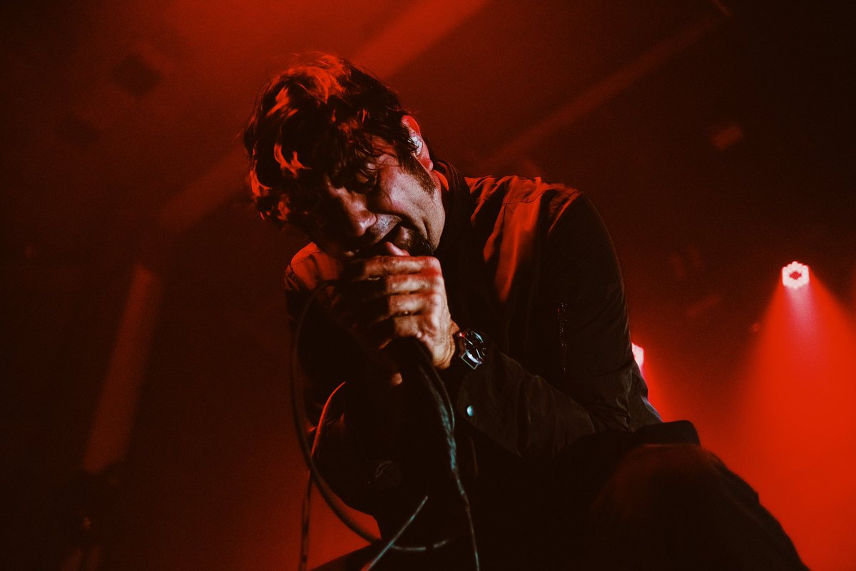 Steven Cook tweet media