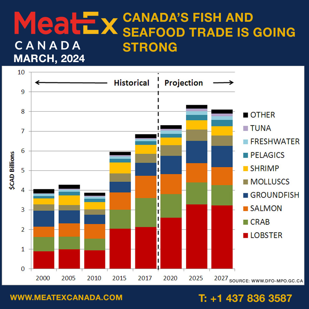 MeatExCa's tweet image. Canada’s fish and seafood trade is going strong
linkedin.com/feed/update/ur…
meatexcanada.com
T: +1 437 836 3587

#MeatExCanada #MeatEx #meatexhibition #meatshow #Tuna #fishmarket #fishery #seafood #canadafishassociation